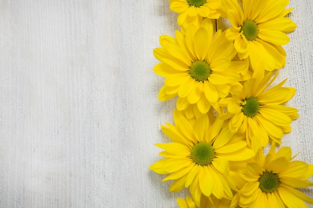 Fiori gialli su sfondo di legno dipinto per il testo