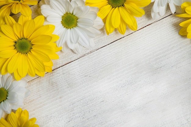 Fiori gialli su sfondo di legno dipinto per il testo