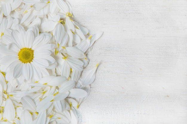 Fiori gialli su sfondo di legno dipinto per il testo