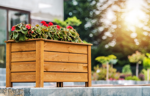 Fiori in fiore in una scatola di legno