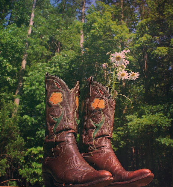 Fiori in stivali da cowboy contro gli alberi