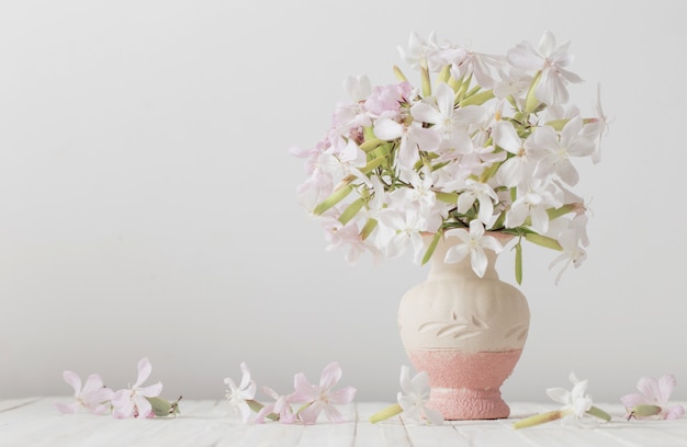 Fiori in un vaso su spazio bianco