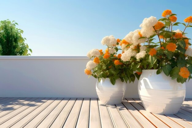 Fiori in vasi bianchi sul terrazzo della casa