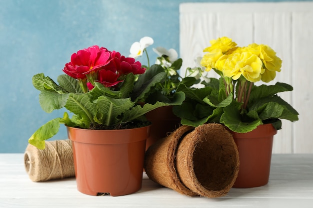 Fiori in vasi sulla tavola di legno bianca, fine su