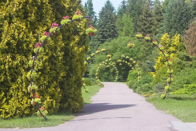 Fiori in vaso appesi all'aperto Arredamento esterno