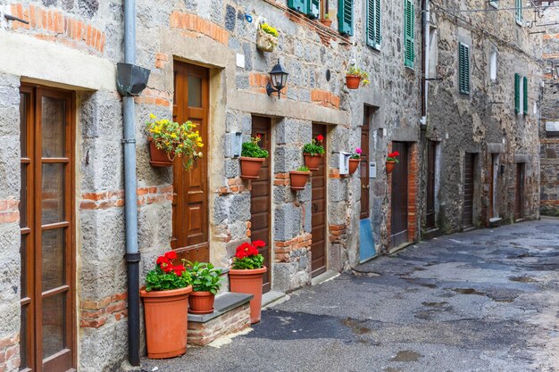 Fiori in vaso su una strada