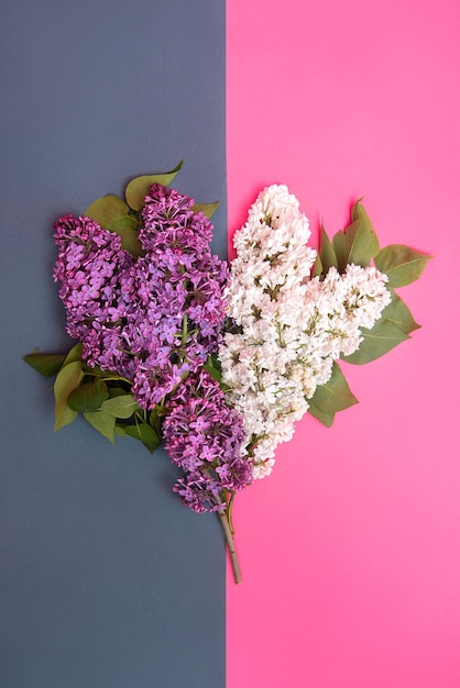 Fiori lilla bianchi e viola su un doppio fondo di bouquet primaverile grigio e rosa