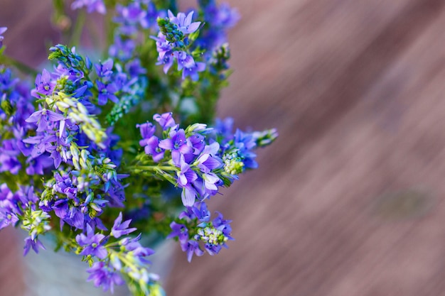 Fiori lilla in un vaso di close-up su un legno