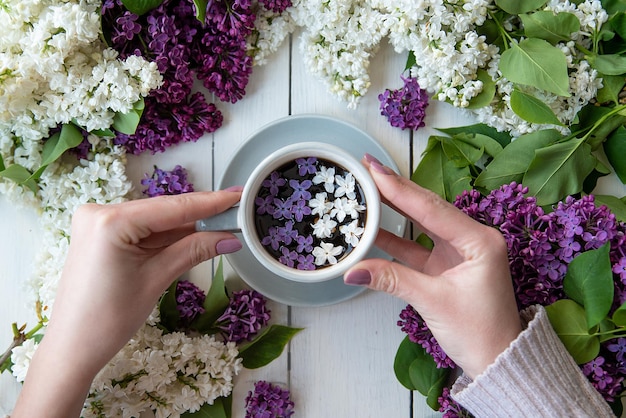 Fiori lilla in una tazza di caffè nelle mani di una ragazza concetto di pubblicità della casa del caffè