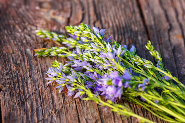 Fiori lilla su fondo in legno, bella storia d&#39;amore