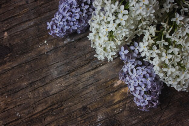 Fiori Lilla Su Fondo In Legno Vecchio. Spazio per il testo. Messa a fuoco selettiva.