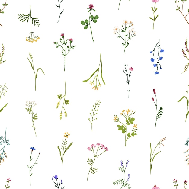 fiori modelli senza cuciture dell'acquerello