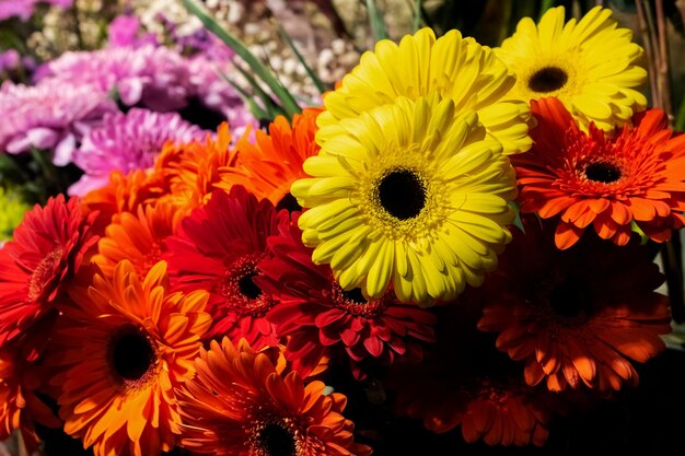 Fiori multicolori colorati in mazzi di fiori si chiudono sullo sfondo