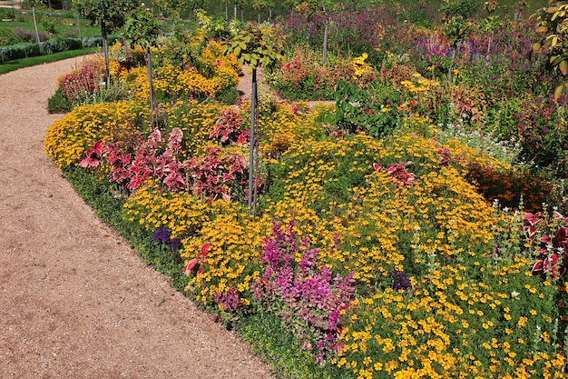 Fiori nel parco di Potsdam, Germania