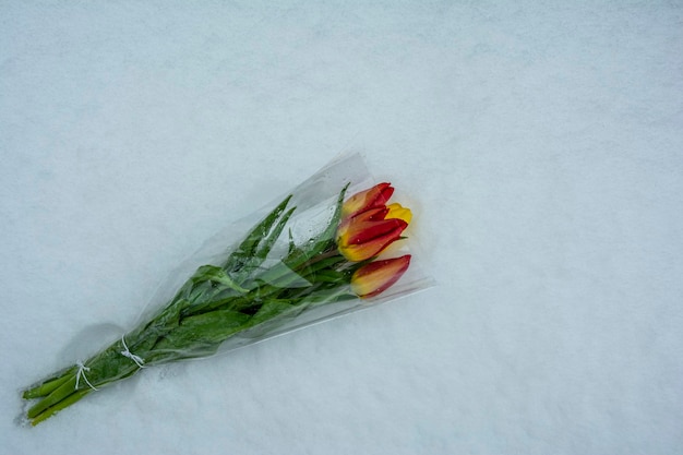 Fiori nella neve un mazzo di tulipani giace sulla neve