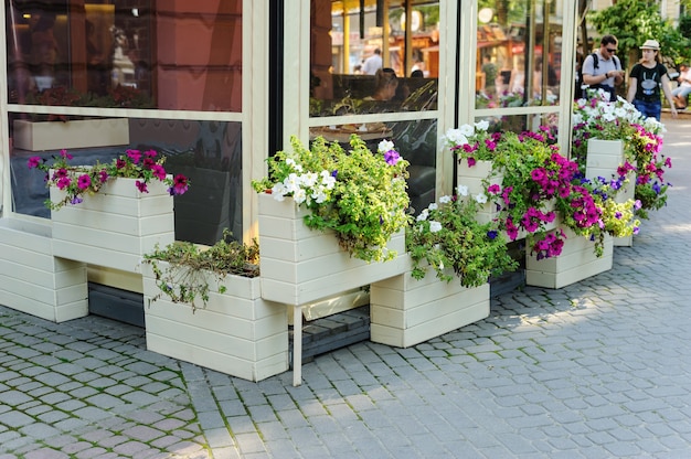 Fiori nelle scatole. La terrazza estiva del ristorante è decorata con fiori a Ivano Frankivsk, Ucraina, 18 luglio 2017