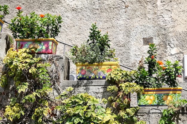 Fiori nelle strade di Positano Napoli Italia