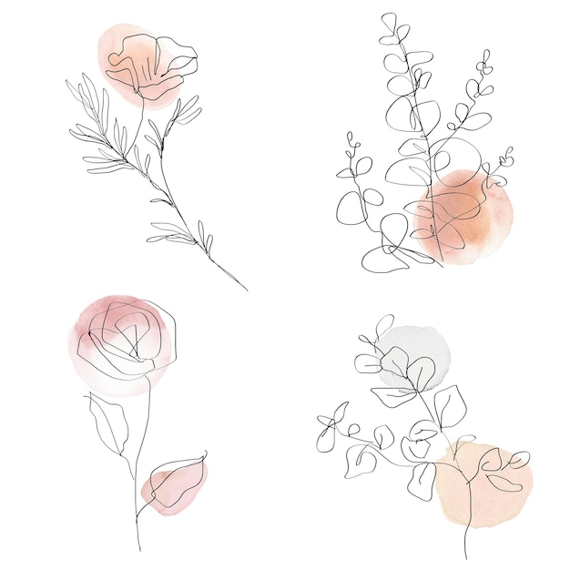 Fiori png pastel e linea nera set di illustrazioni femminili