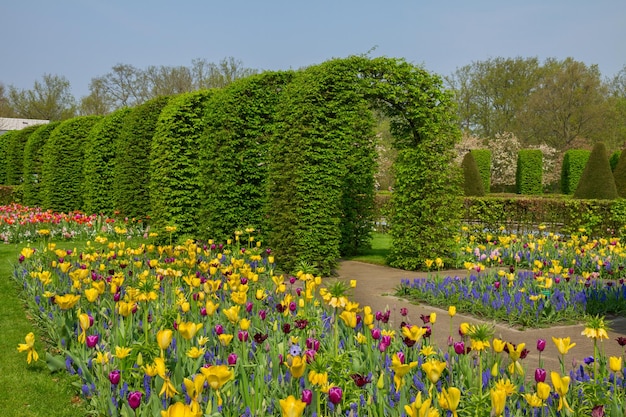 Fiori primaverili colorati nel giardino primaverile olandese Keukenhof in una giornata di sole in Olanda