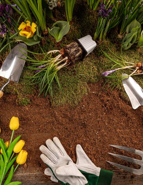 Fiori primaverili e attrezzi da giardinaggio