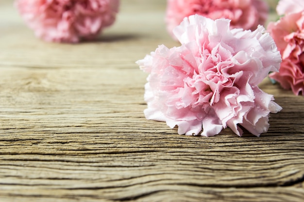 Fiori rosa del garofano su vecchio legno