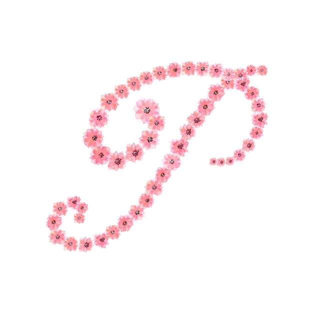 Fiori rosa dell'acquerello che formano lettera P