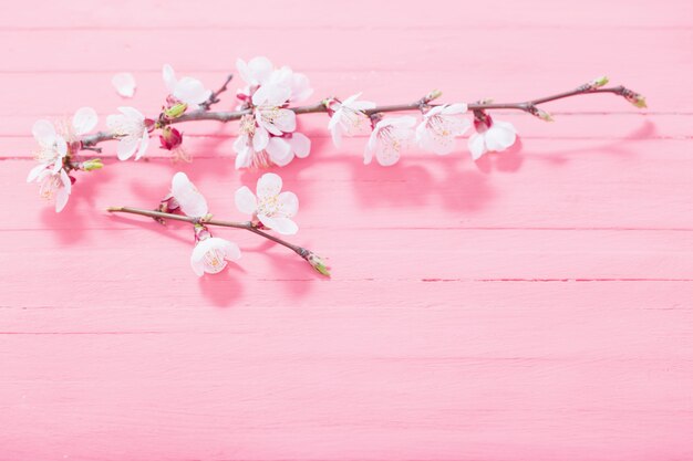 Fiori rosa della ciliegia su fondo di legno