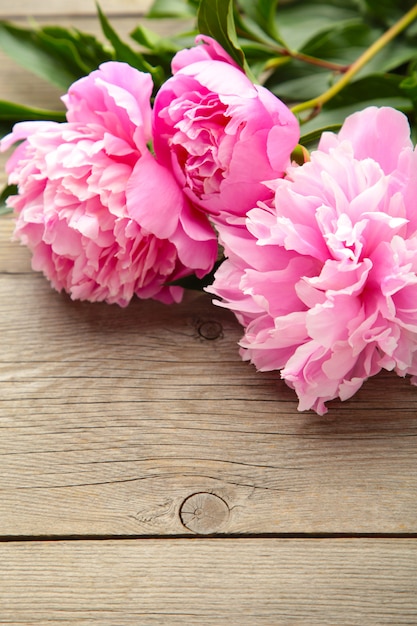 Fiori rosa della peonia su fondo di legno grigio.