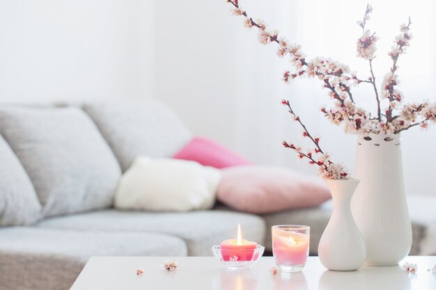 Fiori rosa della primavera in vaso nell'interno bianco