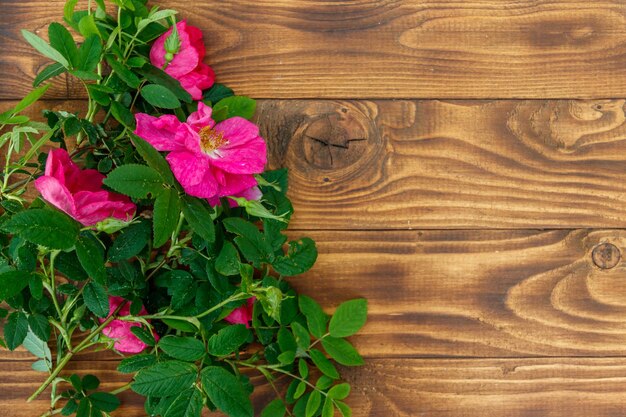 Fiori rosa di rosa canina su sfondo di legno Spazio copia vista dall'alto