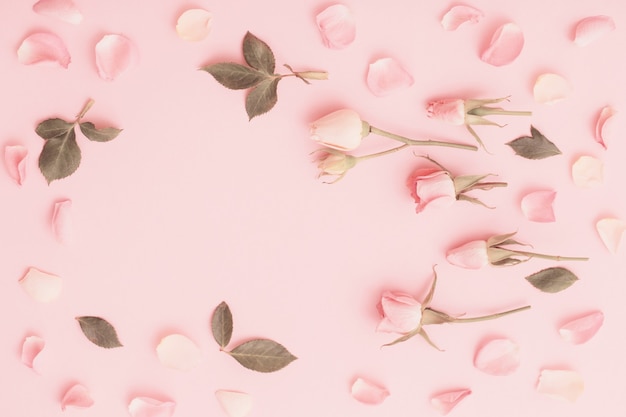 Fiori rosa e bianchi sulla superficie della carta rosa