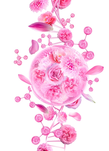 fiori rosa e molecola