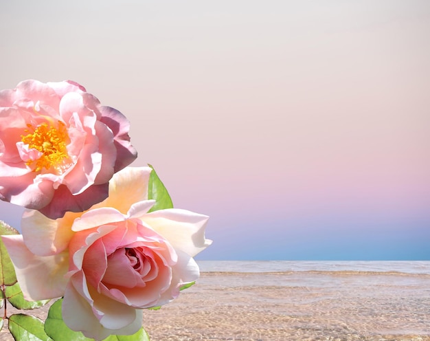 fiori rosa e pianta di palma verde mare blu e cielo rosa nuvoloso panorama, onda d'acqua