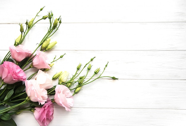 Fiori rosa freschi di eustoma