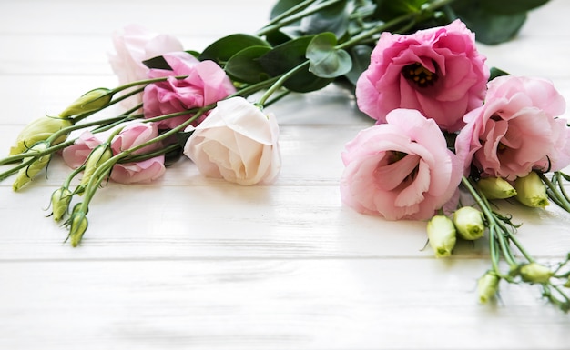 Fiori rosa freschi di eustoma