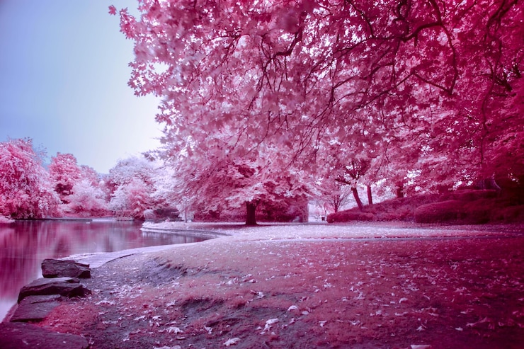 Foto fiori rosa sull'albero
