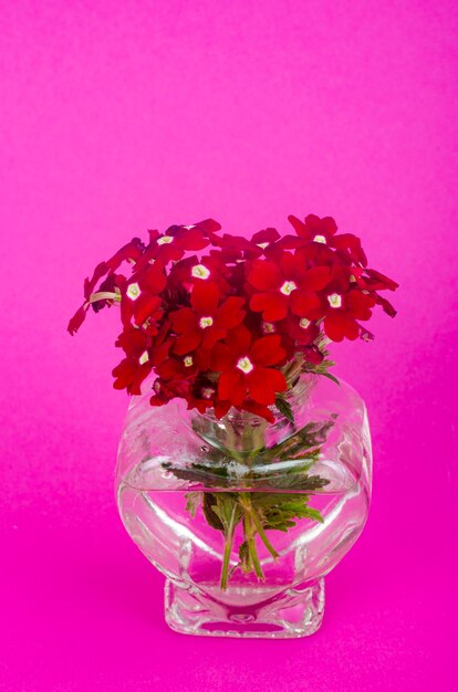 Fiori rossi e vaso a forma di cuore - biglietto di auguri per San Valentino. Foto dello studio.