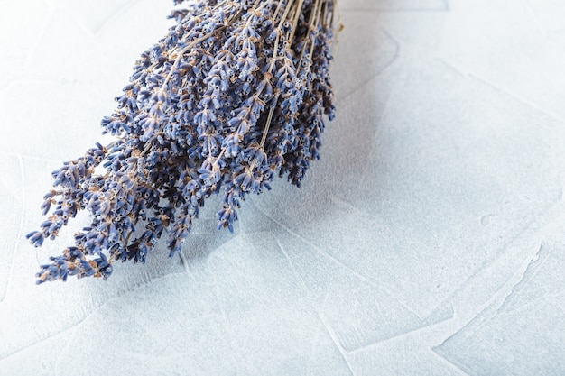 Fiori secchi della lavanda sulla decorazione bianca