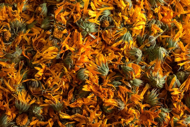 Fiori secchi di erbe di calendula.