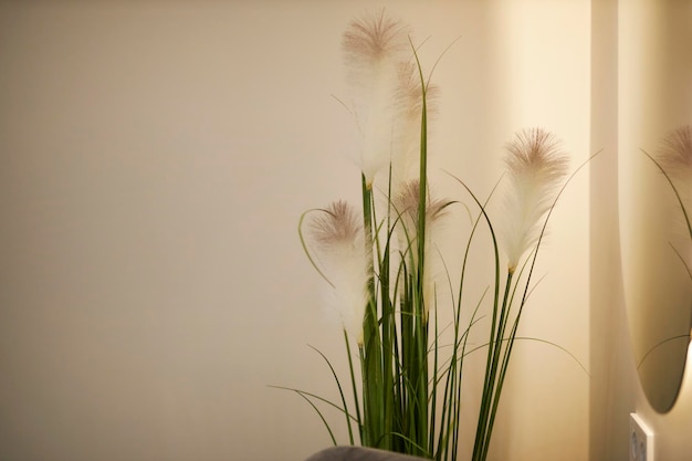 fiori secchi su uno sfondo grigio muro. un'elegante decorazione d'interni