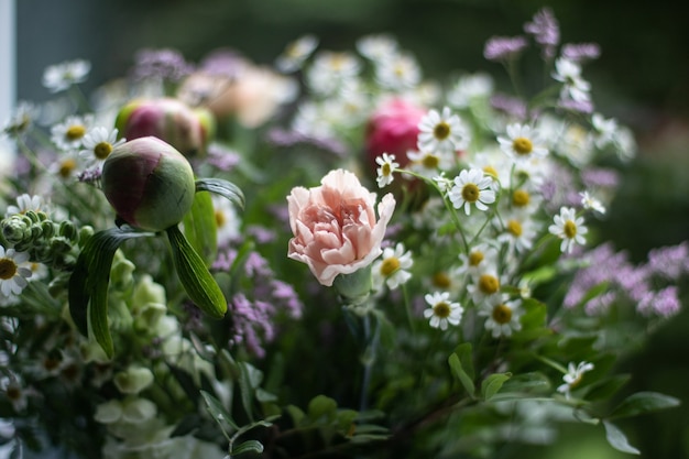 Fiori selvatici colorati con sfondo sfocato