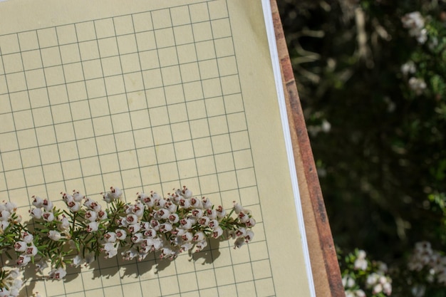 Fiori selvatici colorati di primavera su una spirale un quaderno