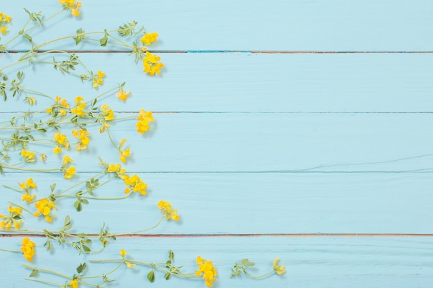 fiori selvatici gialli su fondo di legno blu