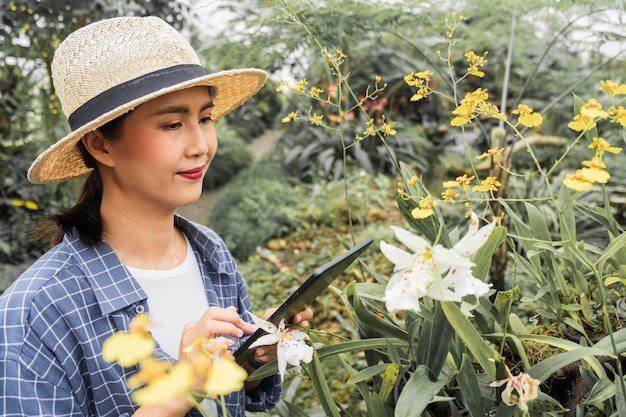 Fiori speciali di giardinaggio della donna