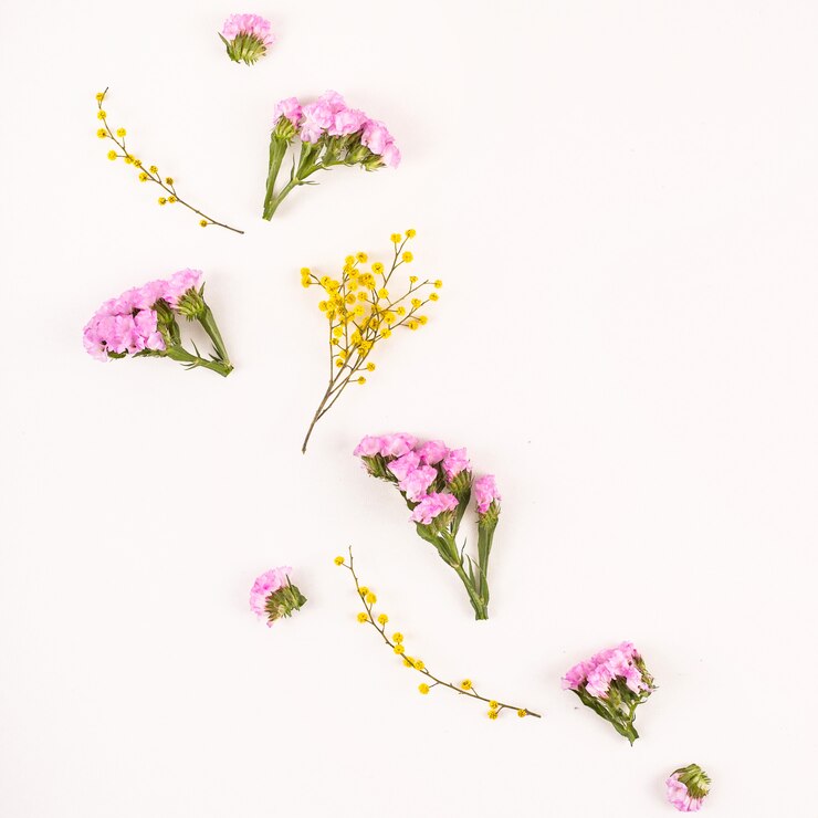 Foto fiori su uno sfondo bianco - ciao primavera e ciao estate