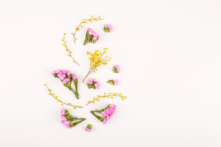 Foto fiori su uno sfondo bianco - ciao primavera e ciao estate