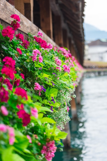 Fiori sul Ponte della Cappella a Lucerna