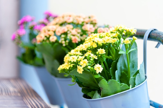 Fiori sulla terrazza del ristorante