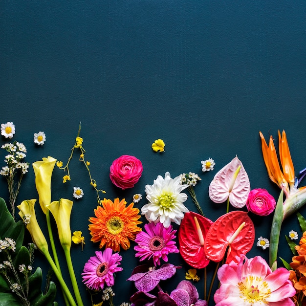 Fiori tropicali colorati su sfondo nero