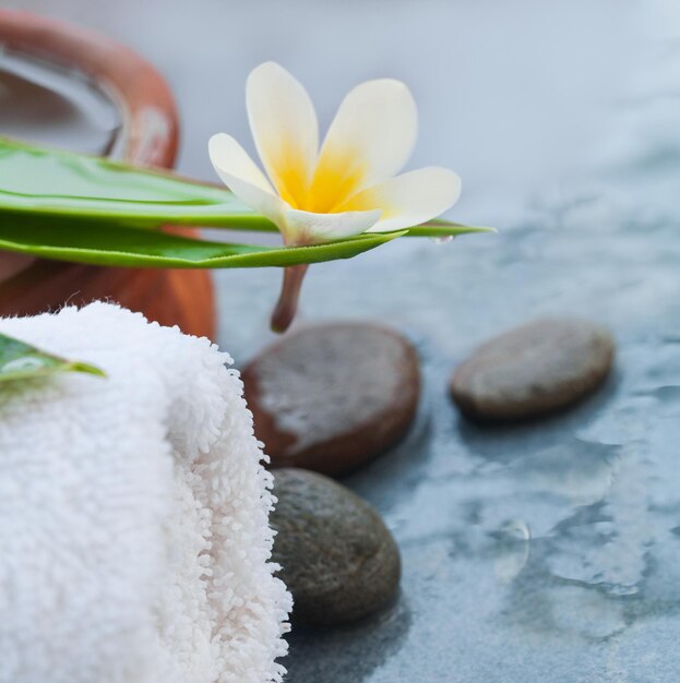 Fiori tropicali e oggetti termali per massaggi su sfondo blu